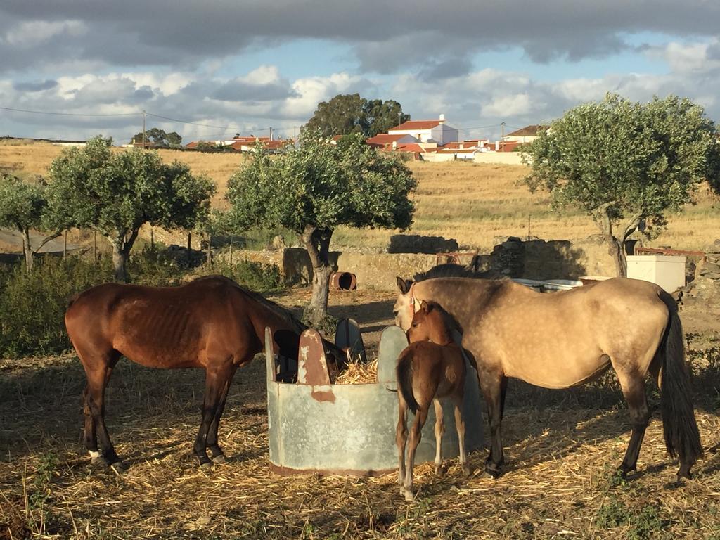 Abetarda Cc Villa São Marcos da Ataboeira Eksteriør bilde