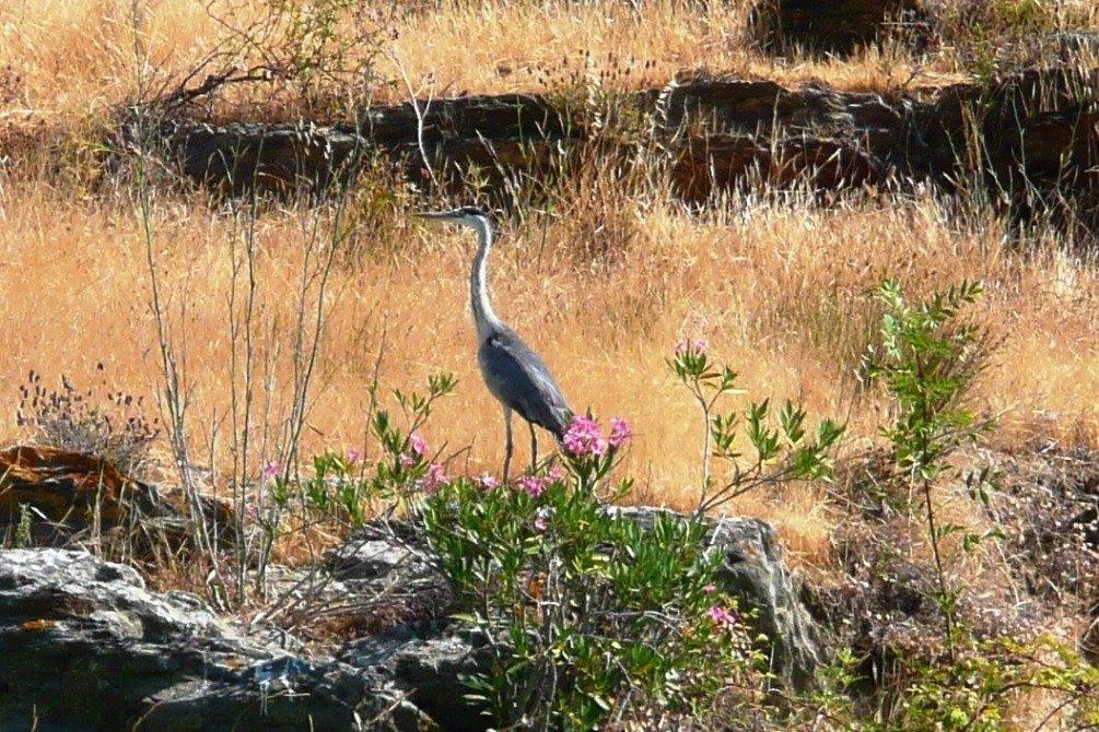 Abetarda Cc Villa São Marcos da Ataboeira Eksteriør bilde